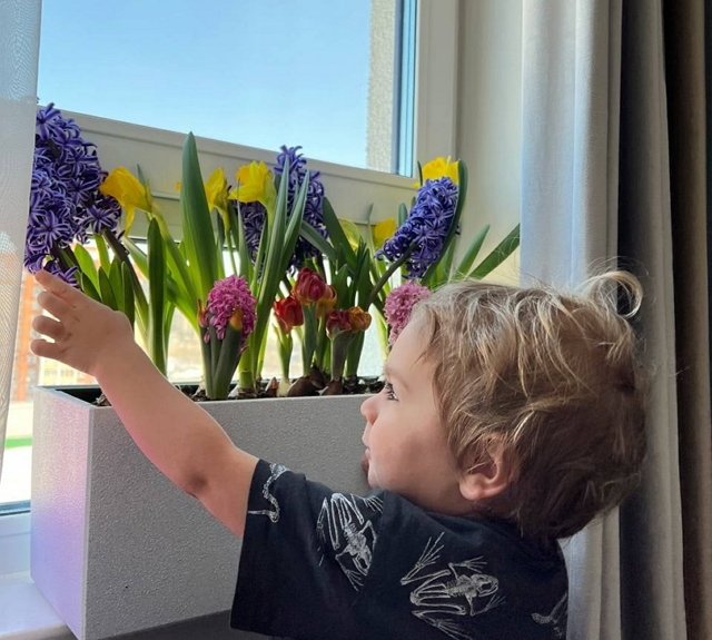 ���� ����� ���������� ����-2 (23.03.2022)