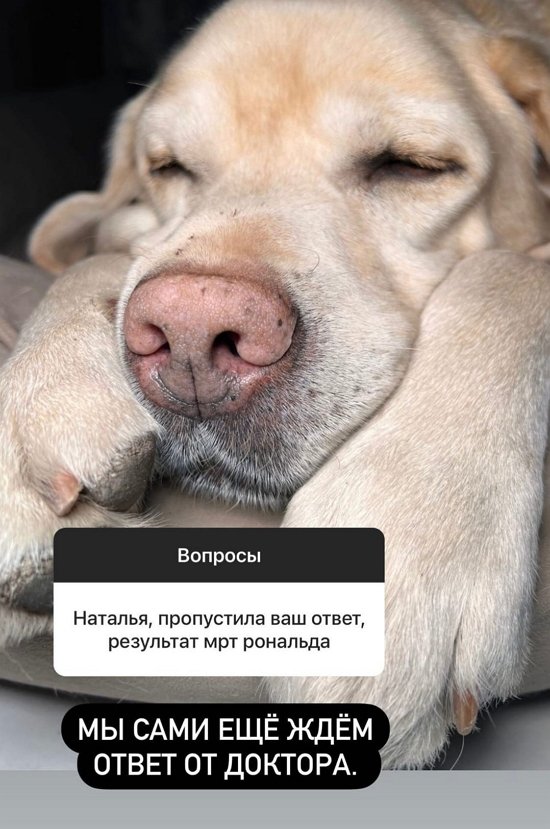 ������� �������: ����� ������ ���� �������...