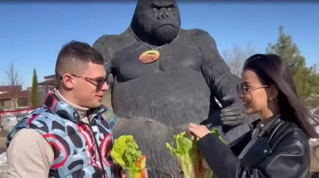 �������� �������� �������� ������� ������� � ���� ���������� � ���������