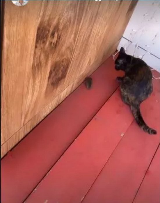 ����� ������ � ����� �������� ��������� �����������