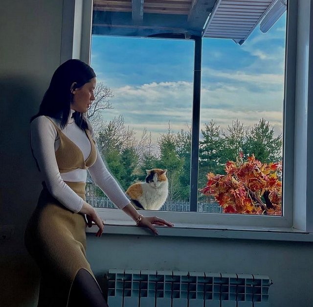 ������ �����: � ���� ����� ������ �������� ���������