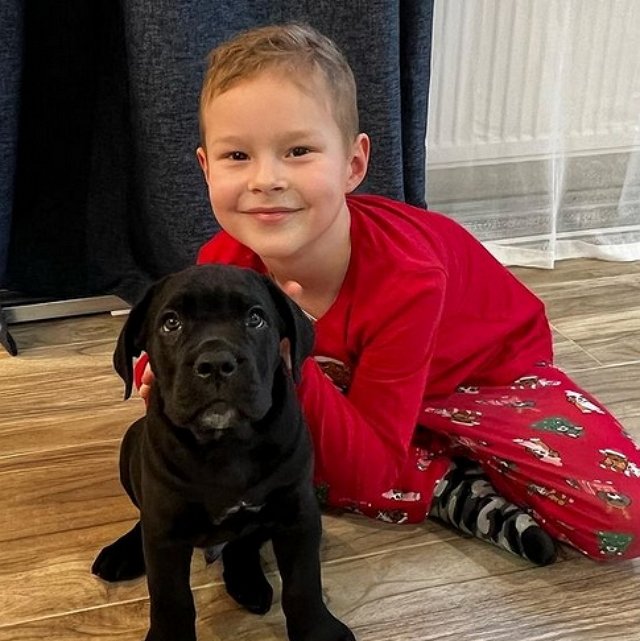 ���� ����� ���������� ����-2 (12.04.2022)