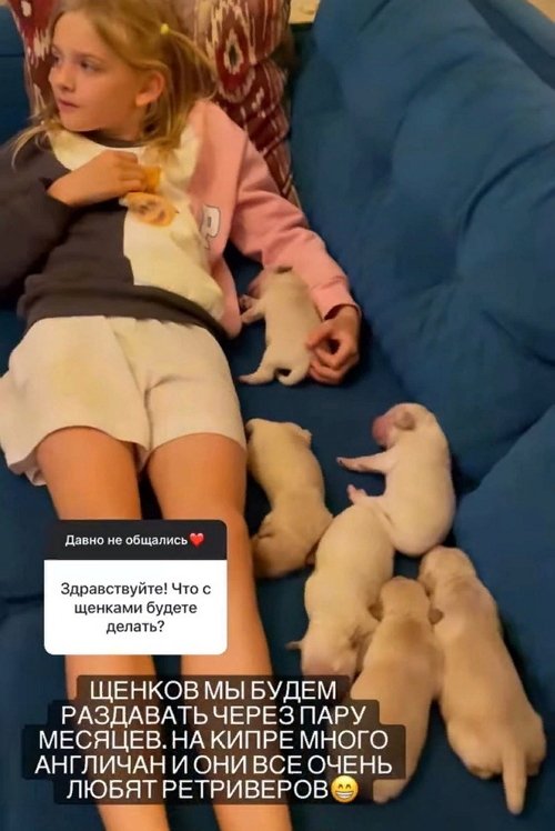 ��������� �����: � �� �����, ��� ��� ������� �����?