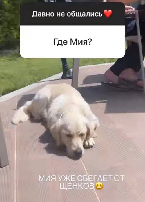 ��������� �����: � �� �����, ��� ��� ������� �����?