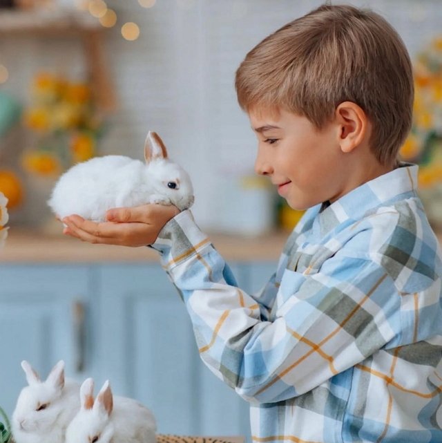 ���� ����� ���������� ����-2 (17.04.2022)