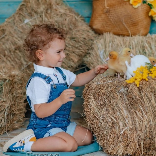 ���� ����� ���������� ����-2 (17.04.2022)