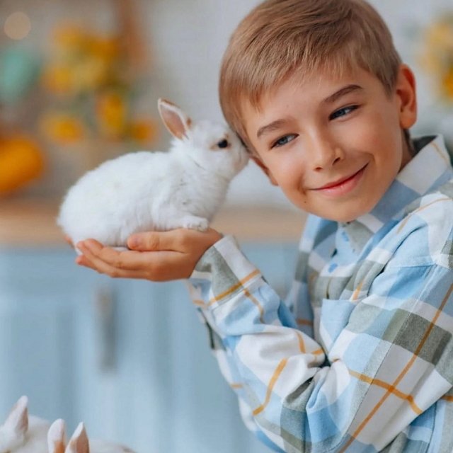 ���� ����� ���������� ����-2 (18.04.2022)