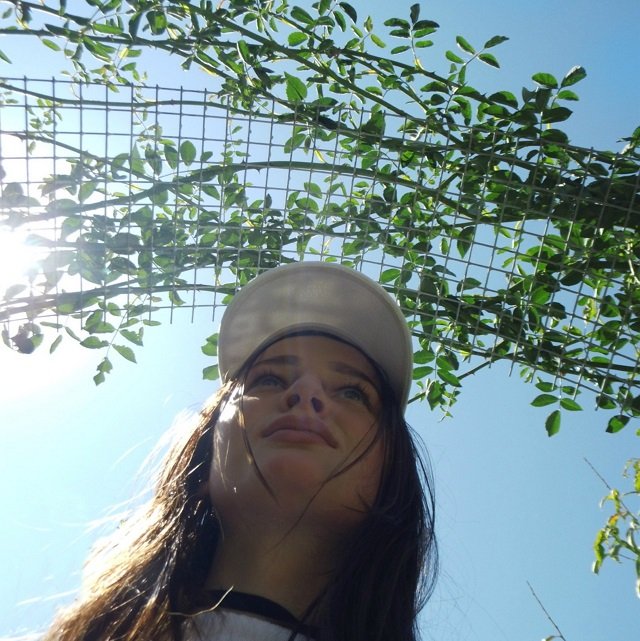 ����� ��������� �������� ��������