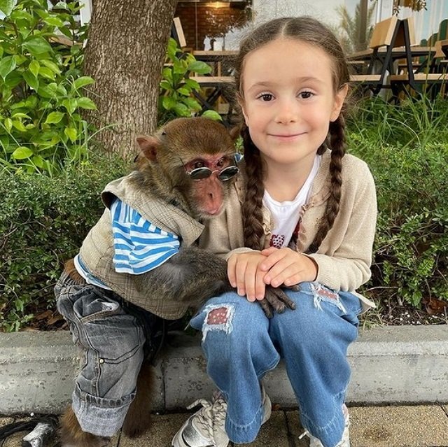 ���� ����� ���������� ����-2 (19.04.2022)