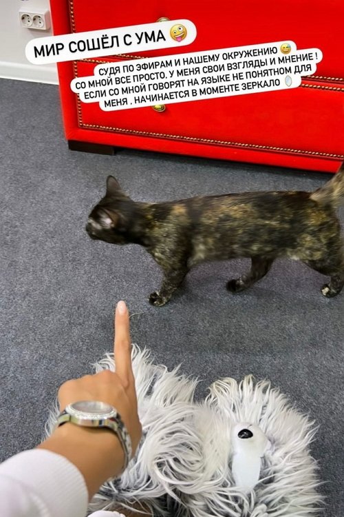 ��� ��������: ����� ��������, � ������ �� ������