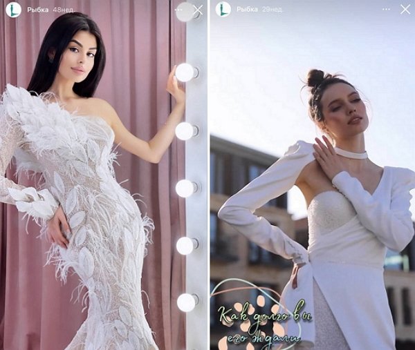 ������� ��������: ������������ ���������� � �������