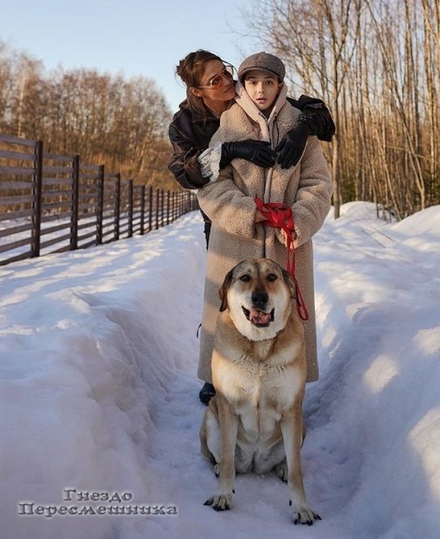 ���� ����� ���������� ����-2 (22.04.2022)