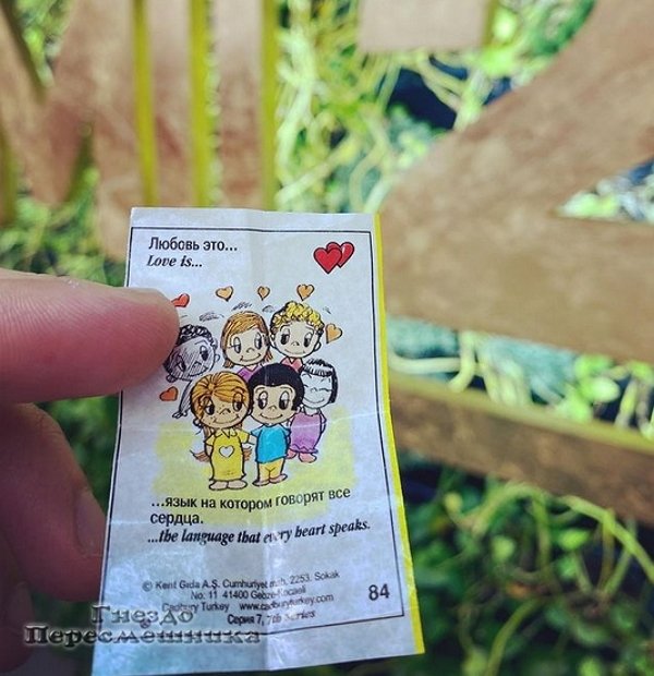 Сергей Гусаров: Чем любовь отличается от влюбленности? Сергей Гусаров: Чем любовь отличается от влюбленности?