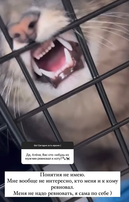 Алёна Водонаева: Хочу иметь свободу передвигаться Алёна Водонаева: Хочу иметь свободу передвигаться