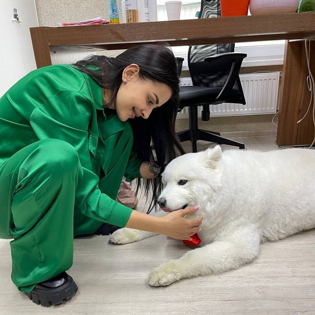 ���� �� ���������� (9.05.2022)