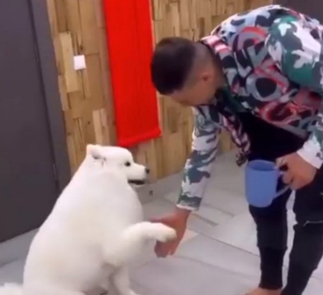 Новости проекта на 9.05.2022 от Кота Баюна Новости проекта на 9.05.2022 от Кота Баюна