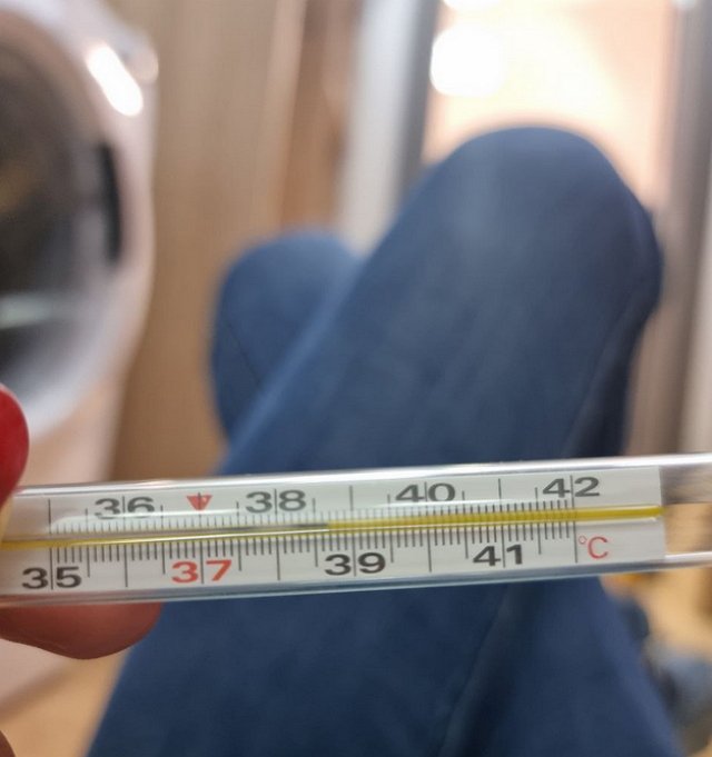 ������� ����������: ����� ������� ���� �� ����������