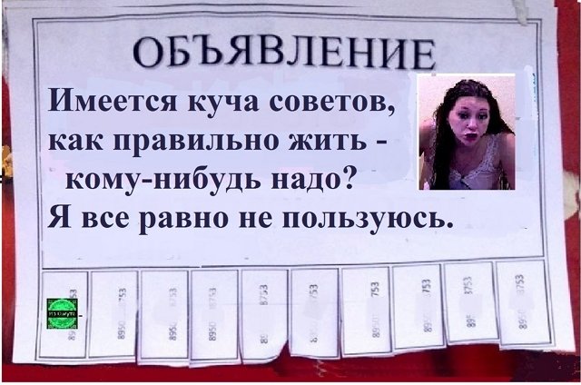 ������� ���-2 (15.06.2022)