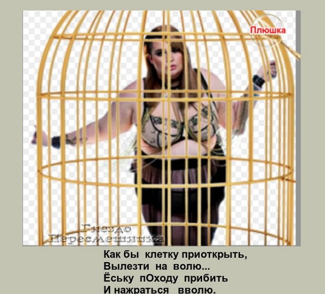 ������� ���-2 (15.06.2022)