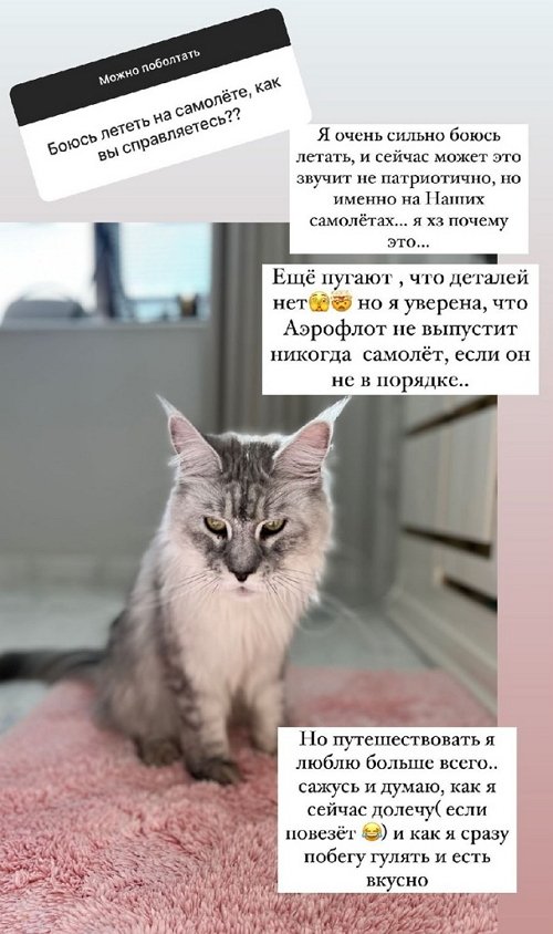 ������ ��������: � ���� ��� ���� �� �����