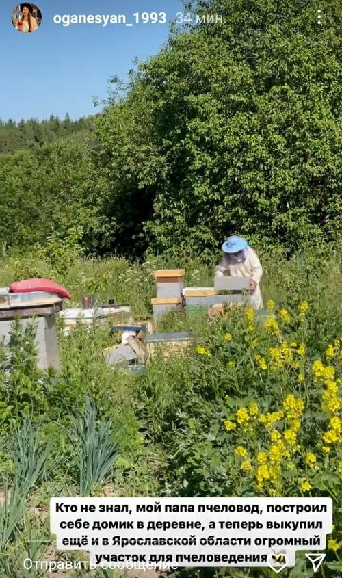 ���������� �����: ��� ���� �������� �� ������