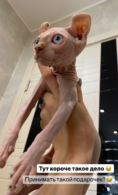 ���������� �����: ��� ���� �������� �� ������