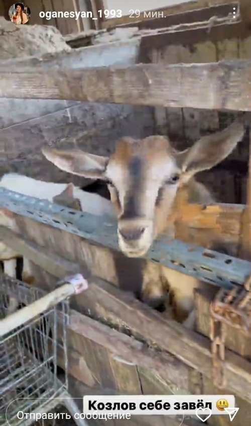 ���������� �����: ��� ���� �������� �� ������