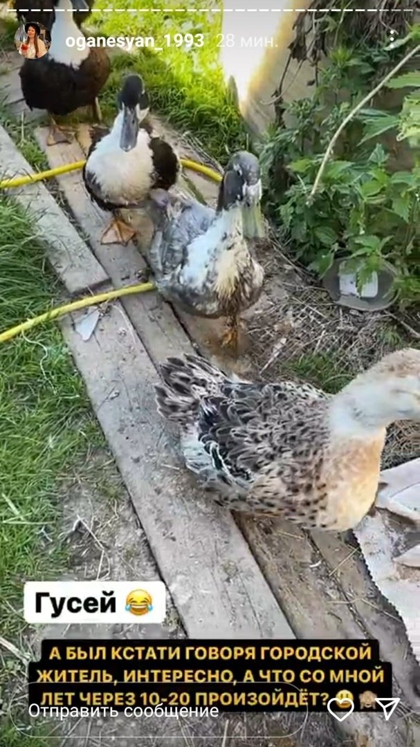 ���������� �����: ��� ���� �������� �� ������