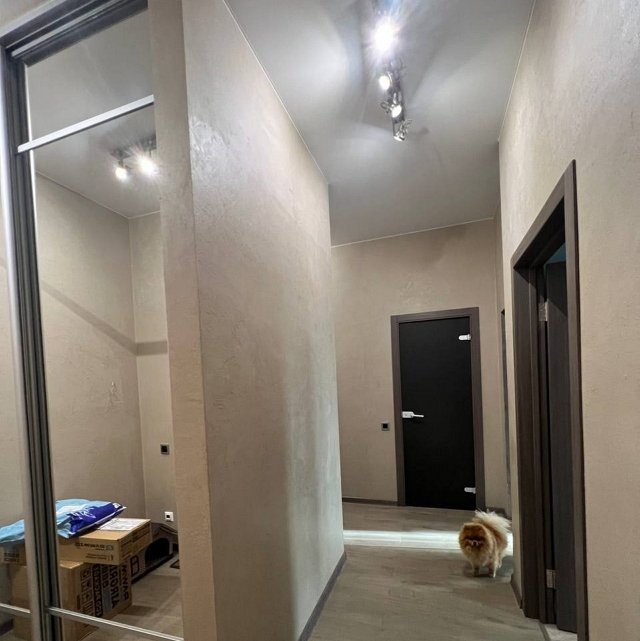 ������� ��������: ������������ ����...