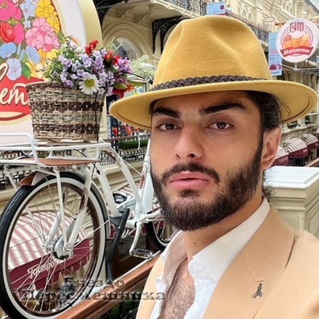 ����� �������� ������ ���������