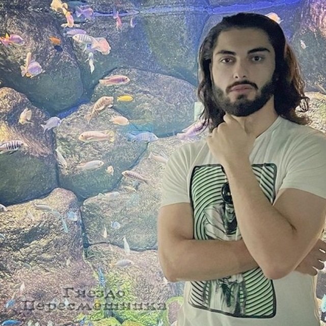 ����� �������� ������ ���������