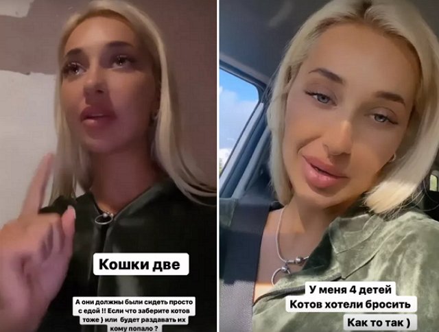 ����� �������� � ���� �� ���������� ����������� � ���������