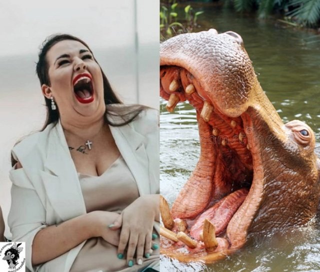 ����� �� �������� (23.07.2022)