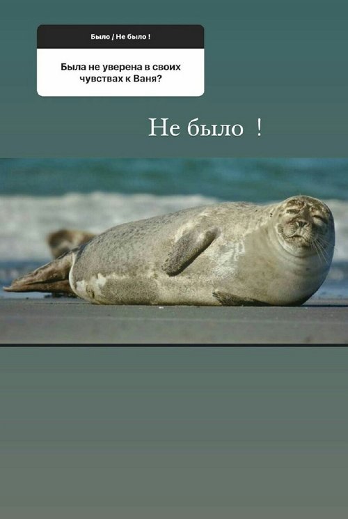 �������� ����������: ��������� ���� � ������ ��������