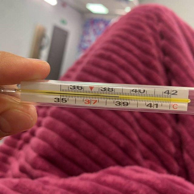 ����� ��������: ���� ����� �����