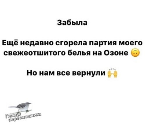 ���� �������: �������� �������