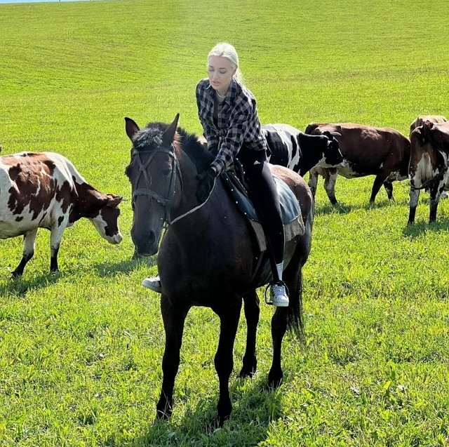 ��������� ��������: ��������� ������� ������� ��� �����