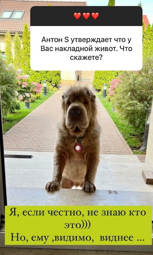 Ольга Орлова: Живот начал расти две недели назад Ольга Орлова: Живот начал расти две недели назад