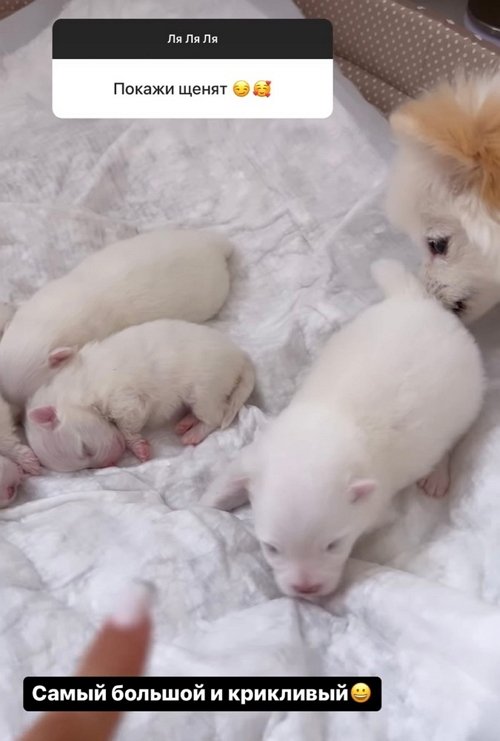 Ирина Пинчук: У нас очень крутая десятка! Ирина Пинчук: У нас очень крутая десятка!