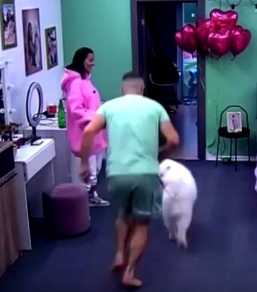 Мнение о последних проектных событиях (11.10.2022) Мнение о последних проектных событиях (11.10.2022)