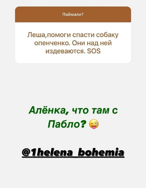 Алексей Адеев: Нужна вторая половинка Алексей Адеев: Нужна вторая половинка