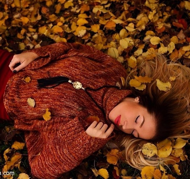 ���� �� ������ ���������� (14.10.2022)