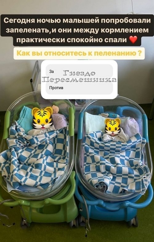 Юлия Ефременкова: Всё включено за 350 тысяч рублей Юлия Ефременкова: Всё включено за 350 тысяч рублей