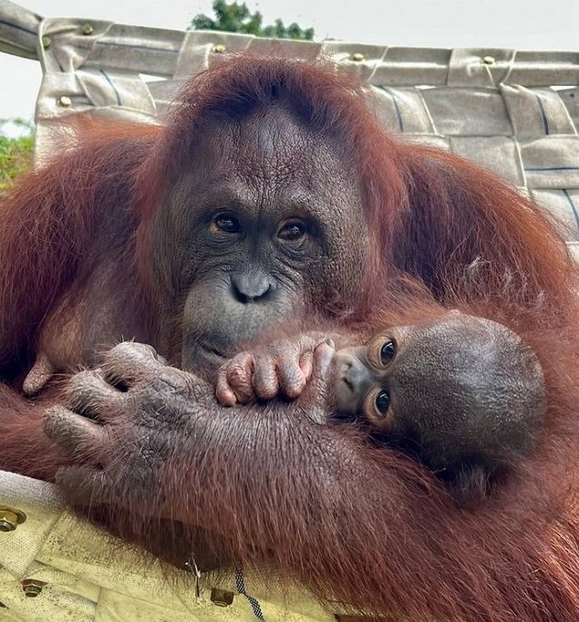 Анастасия Бигрина: Буря эмоций от одного фото Анастасия Бигрина: Буря эмоций от одного фото