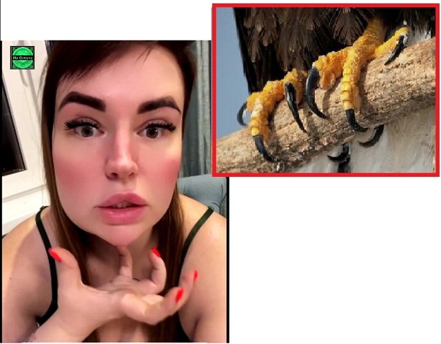 ������� ���-2 (23.10.2022)