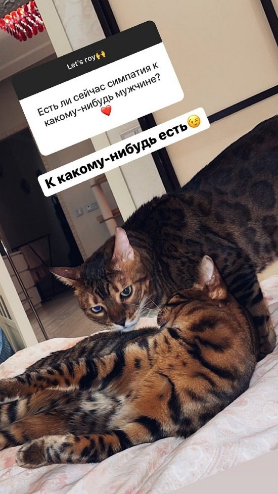 ���� ��������: ������� ���������� ���-�� �����