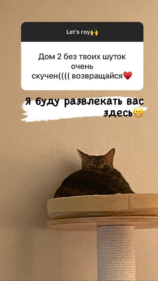 ���� ��������: ������� ���������� ���-�� �����