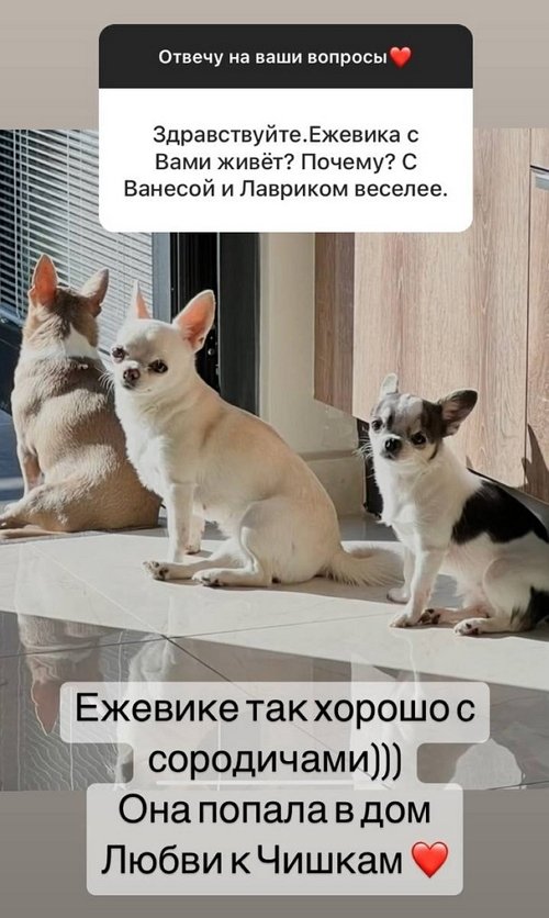 ����� ���������: �� ��������� ������������ ���� �����