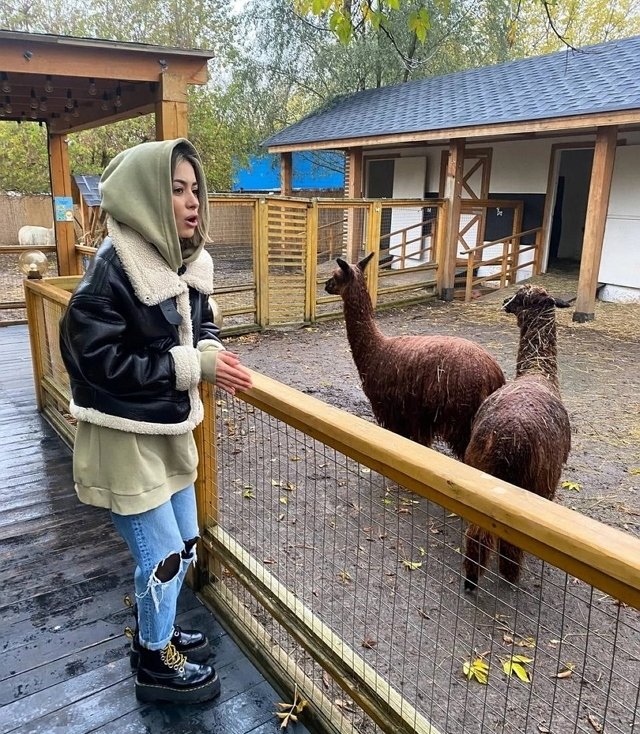 ���� �� ���������� (26.10.2022)