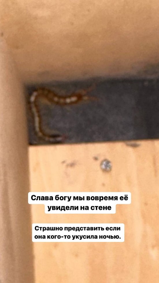 ����� ��������: ������� ����� �����